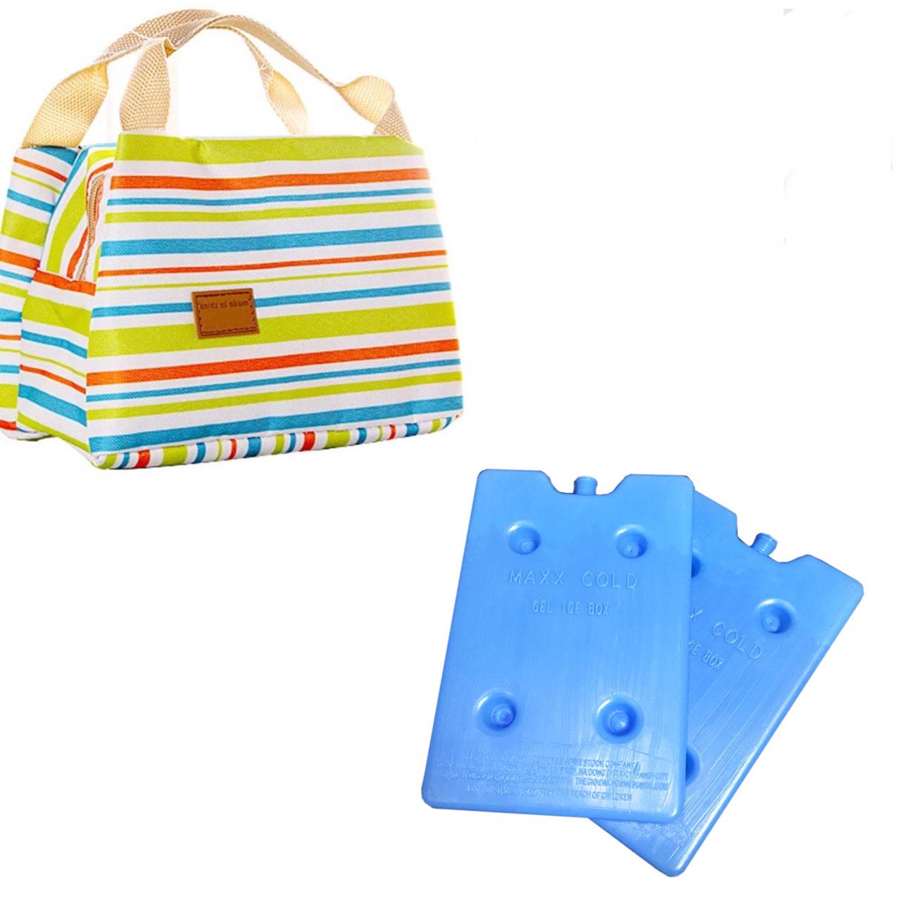 Combo túi đựng bình sữa giữ nhiệt kẻ ngang + 2 thanh đá khô giữ lạnh