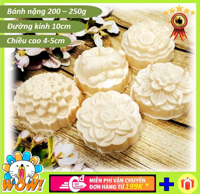 [HCM]Combo 05 khuôn làm rau câu nghệ thuật rau câu 3D ấn xôi ép cơm bento tạo hình bánh trung thu đa năng cao cấp (cỡ lớn)