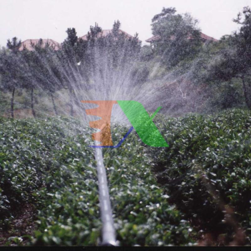 1000m Dây tưới phun mưa N65X40 mm, Băng tưới phun (dây bẹt, 5 mắt, dày 0.25mm), Ống tưới phun trồng ớt, dây tưới trồng dâu tây, dây tưới tự động, Micro spray tube N65