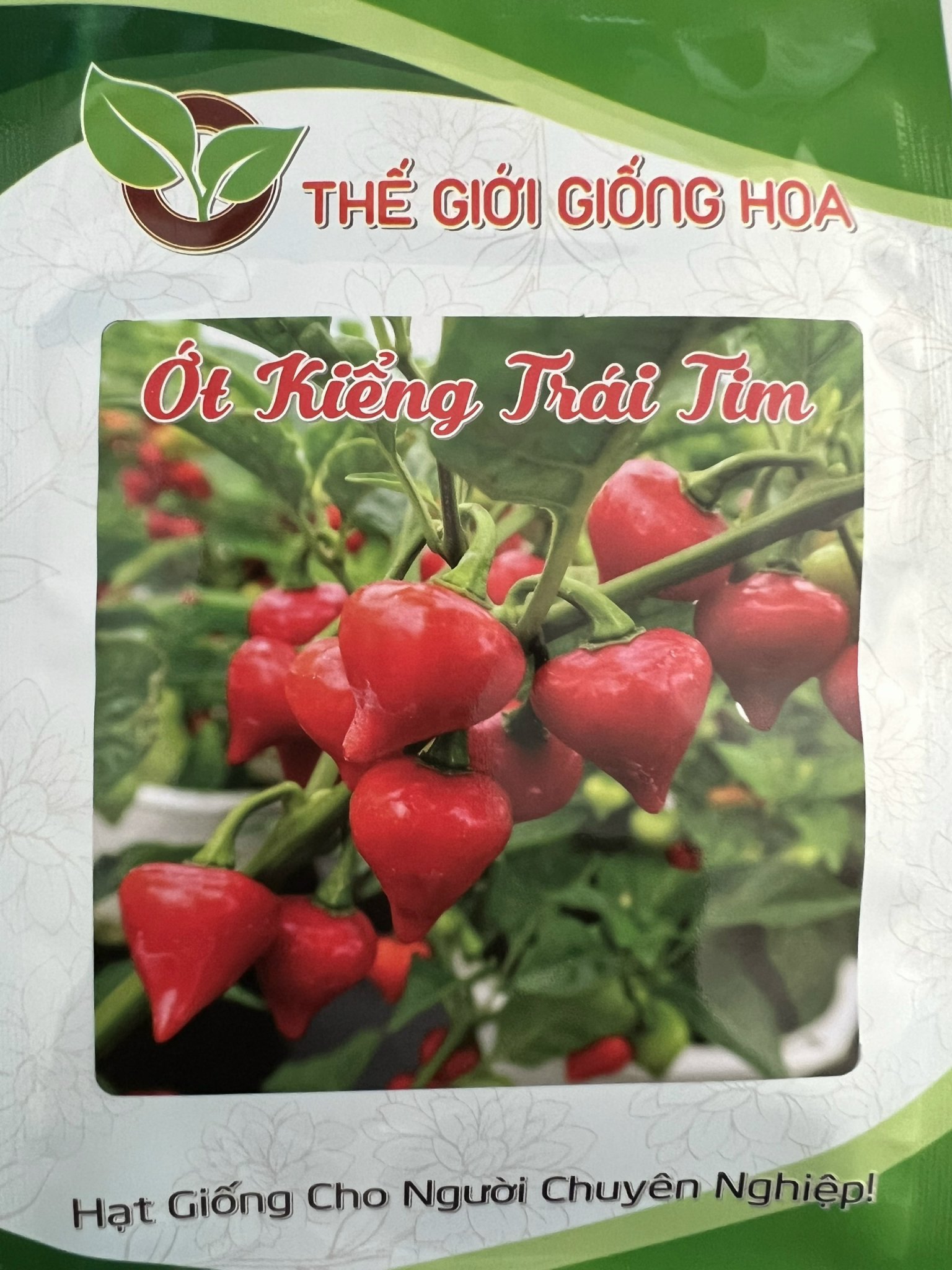 Hạt giống ớt kiểng trái tim