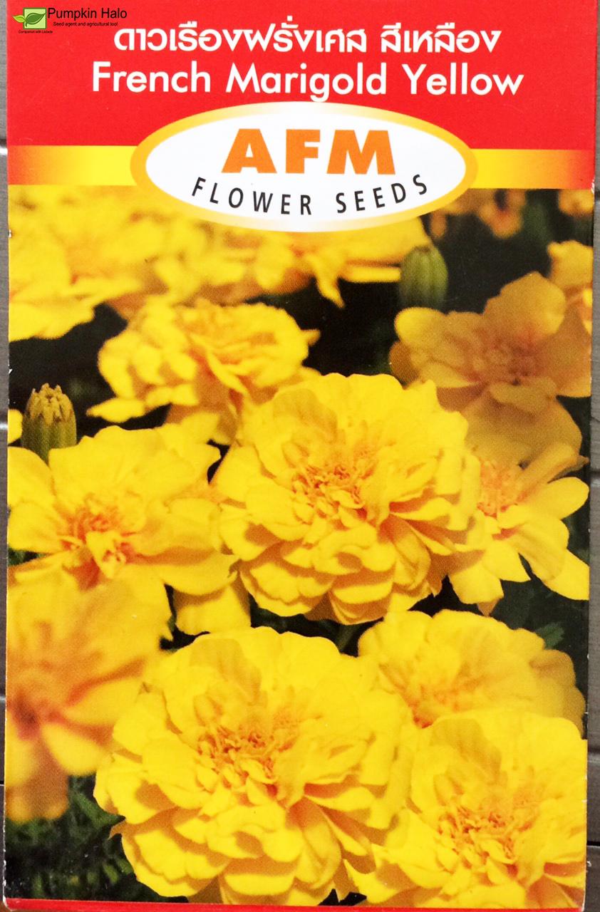 [HCM]HẠT GIỐNG THÁI -HOA VẠN THỌ PHÁP VÀNG  - gói 05GRAM  . TẶNG KÈM GÓI PHÂN CAO CẤP 10GRAM .