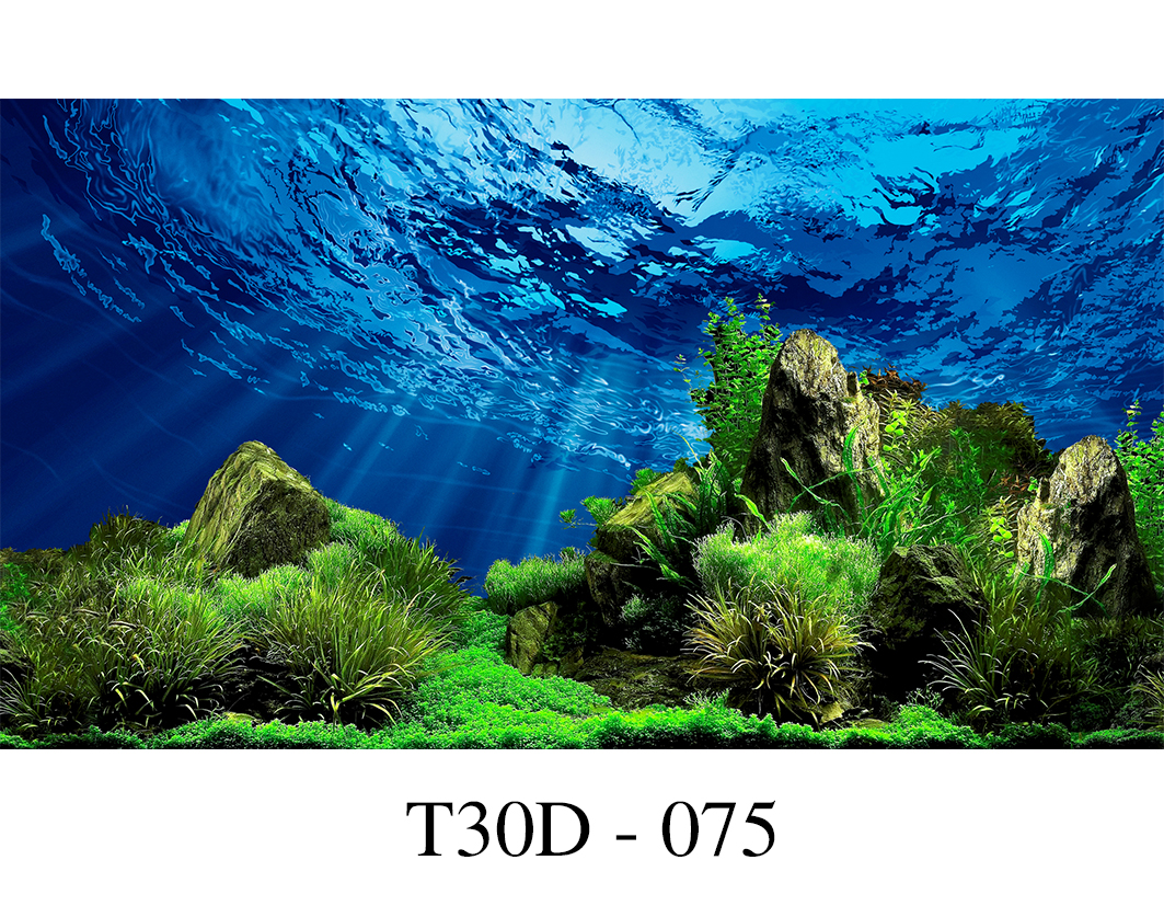 Tranh 3D Bể Cá T30D 075 Fuil Kích Thước