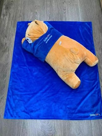 Bộ mền gối gấu bông similac