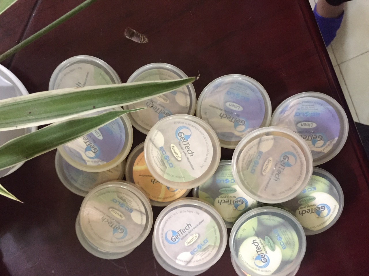 Hộp khử mùi hôi Geltech