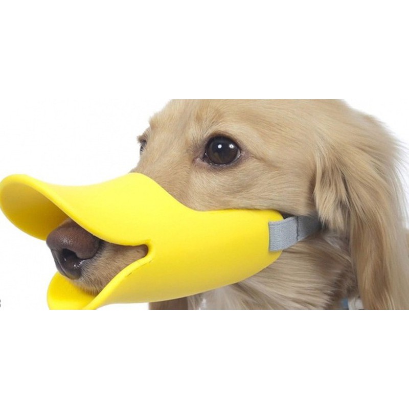 Rọ mõm mỏ vịt bằng nhựa cho chó