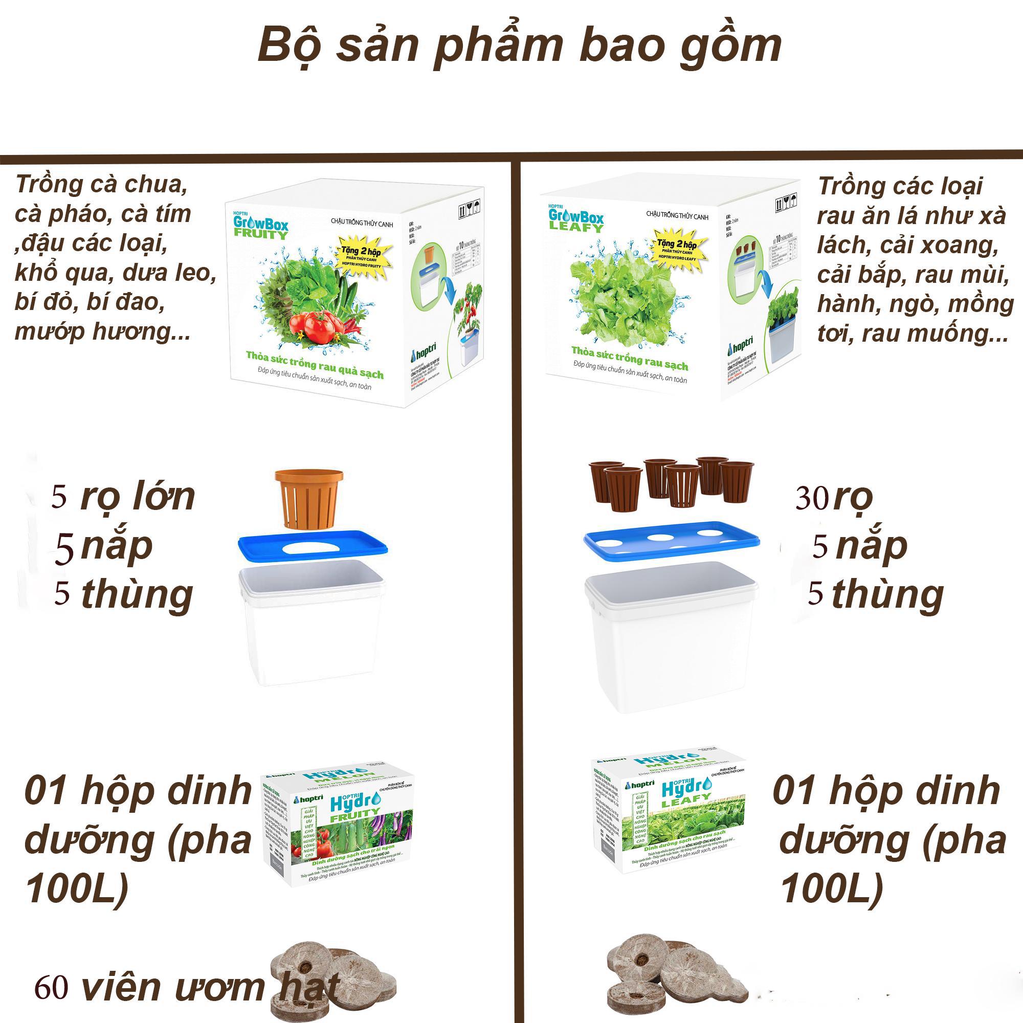 Bộ 10 thùng thủy canh : 5 bộ ăn lá + 5 bộ ăn quả .tặng : 2 hộp thủy canh 200gram +60 viên nén + 1 gói hạt giống.