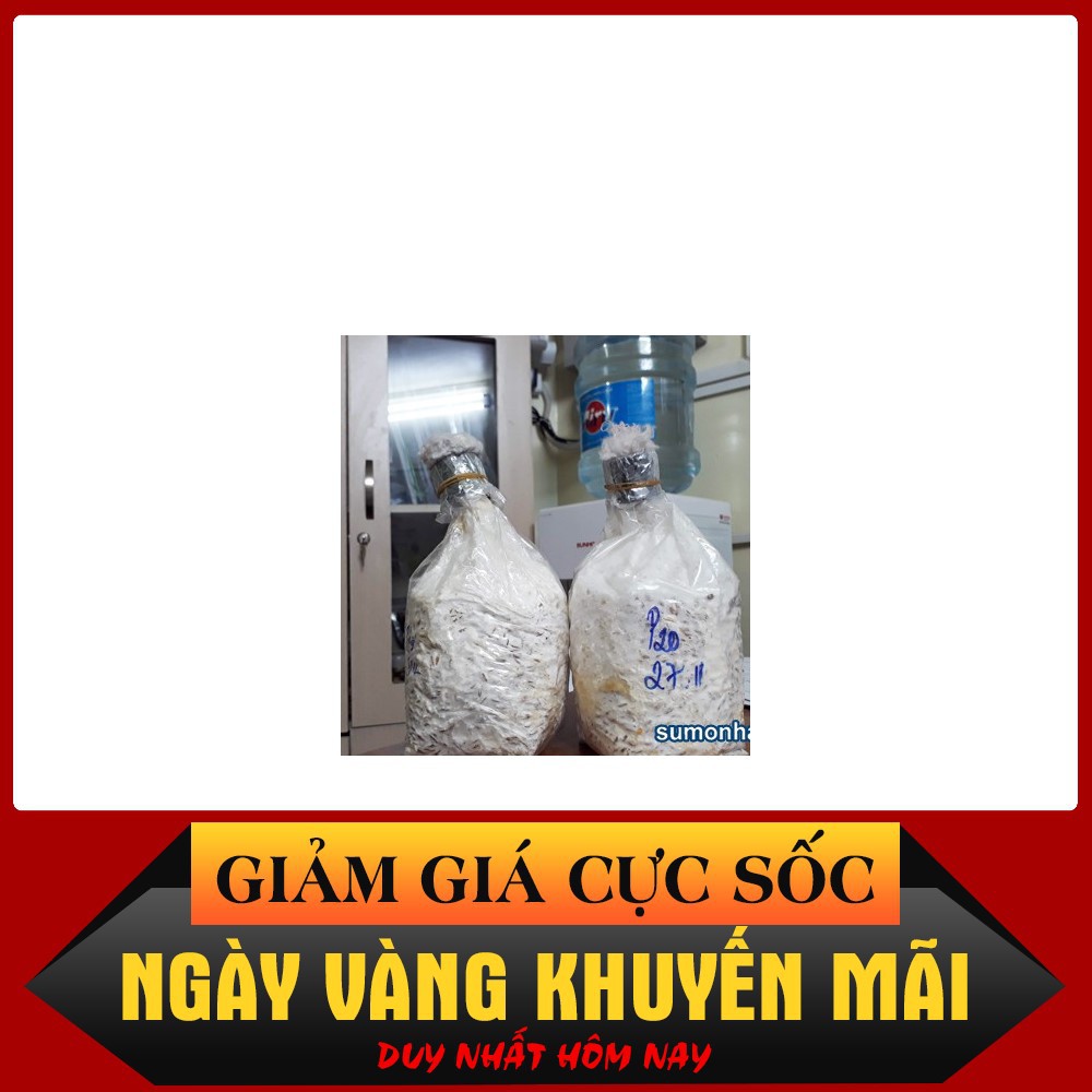 Meo nấm sò - Meo nấm bào ngư