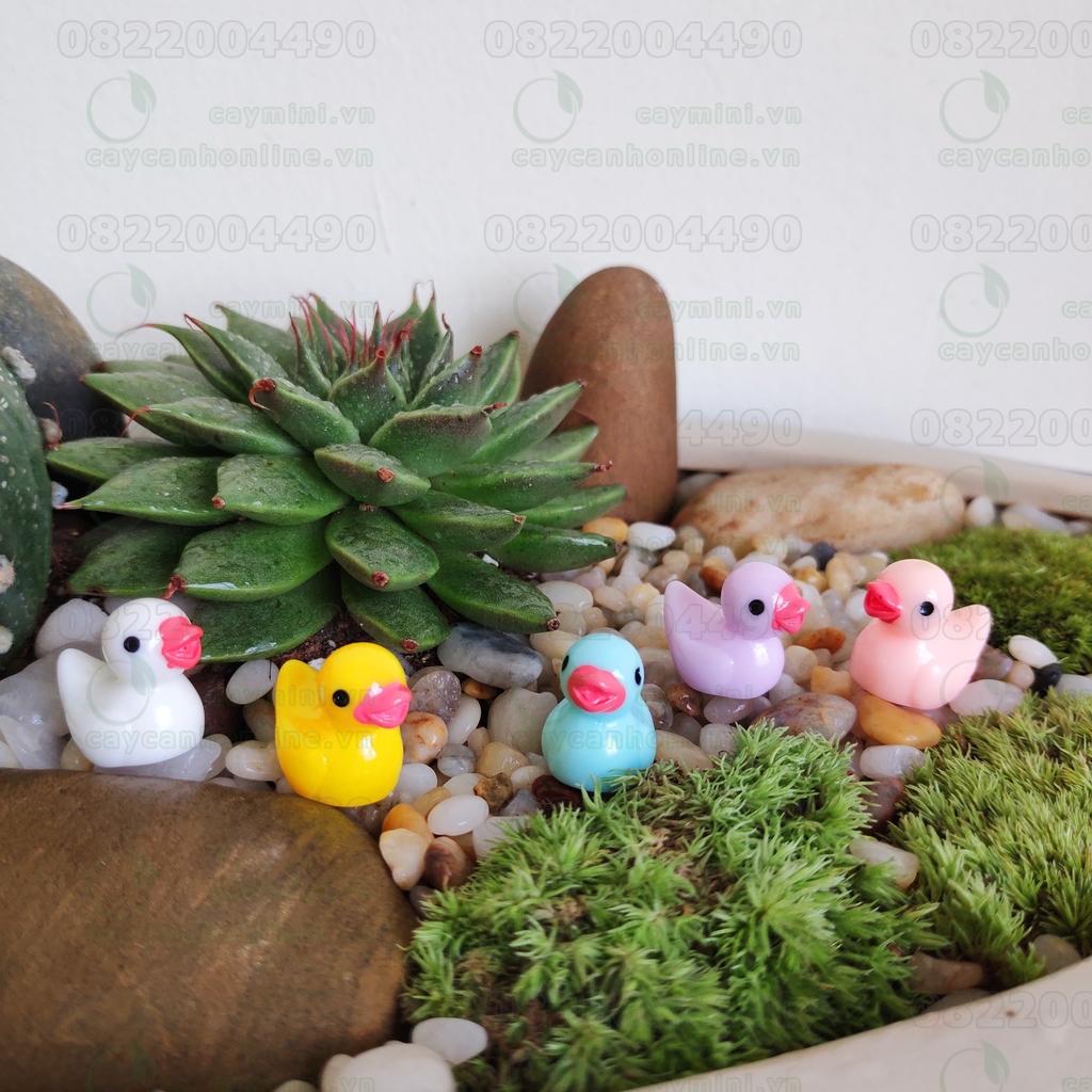 Vịt con may mắn Set 2 con - Phụ kiện trang trí tiểu cảnh Terrarium
