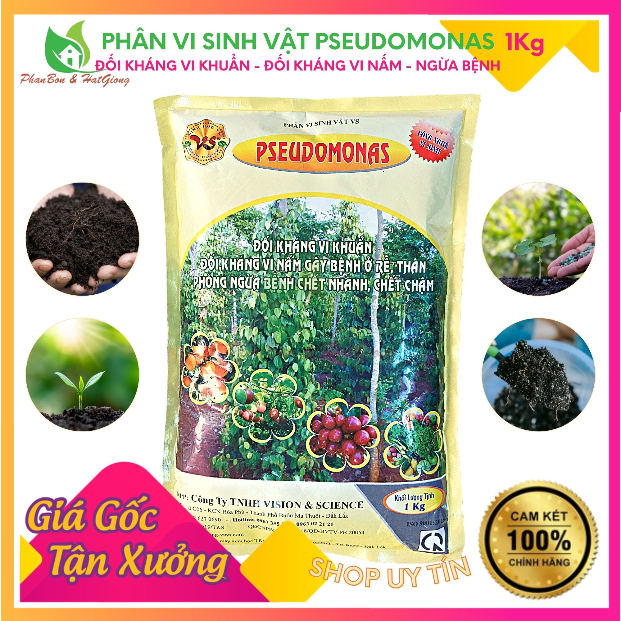Phân vi sinh vật pseudomonas - phòng trừ bệnh héo xanh, thối rễ - gói 1kg