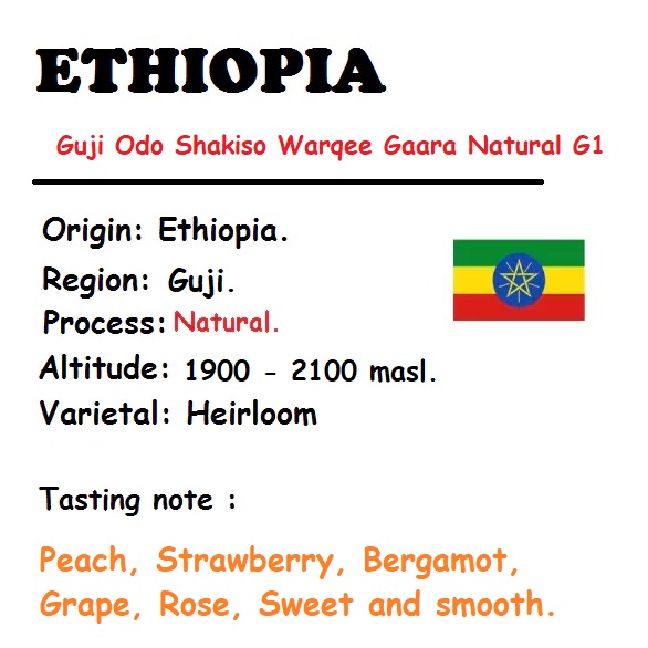 SPECIAL CÀ PHÊ - HẠT - 500 GRAM (2 TÚI 250g - Gross Weight) ETHIOPIA  GUJI ODO SHAKISSO HIGHLAND NATURAL G1.
