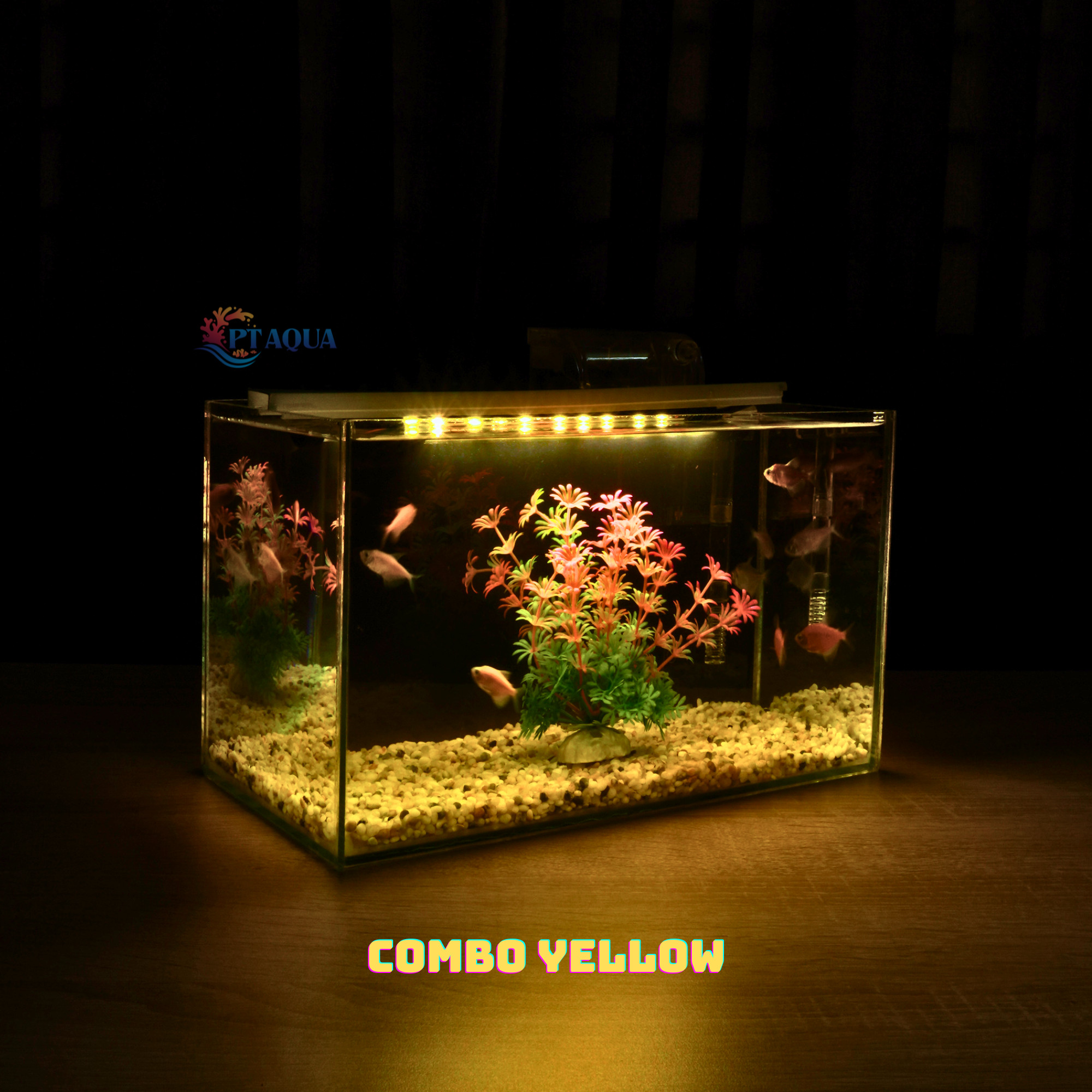 Bể cá mini để bàn Kích thước 30x15x18cm nhiều mẫu COMBO giá rẻ đầy đủ phụ kiện