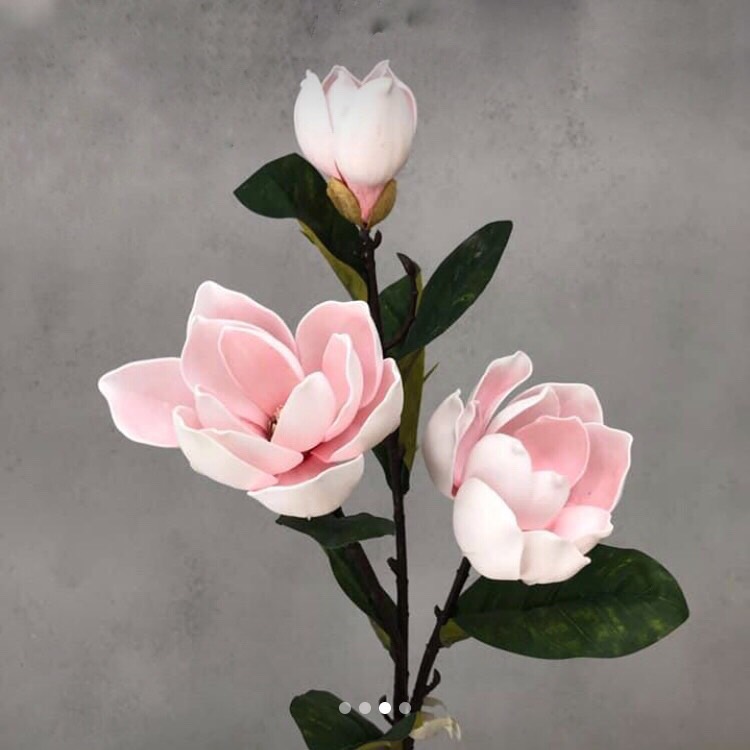 Cành hoa mộc lan 3 bông