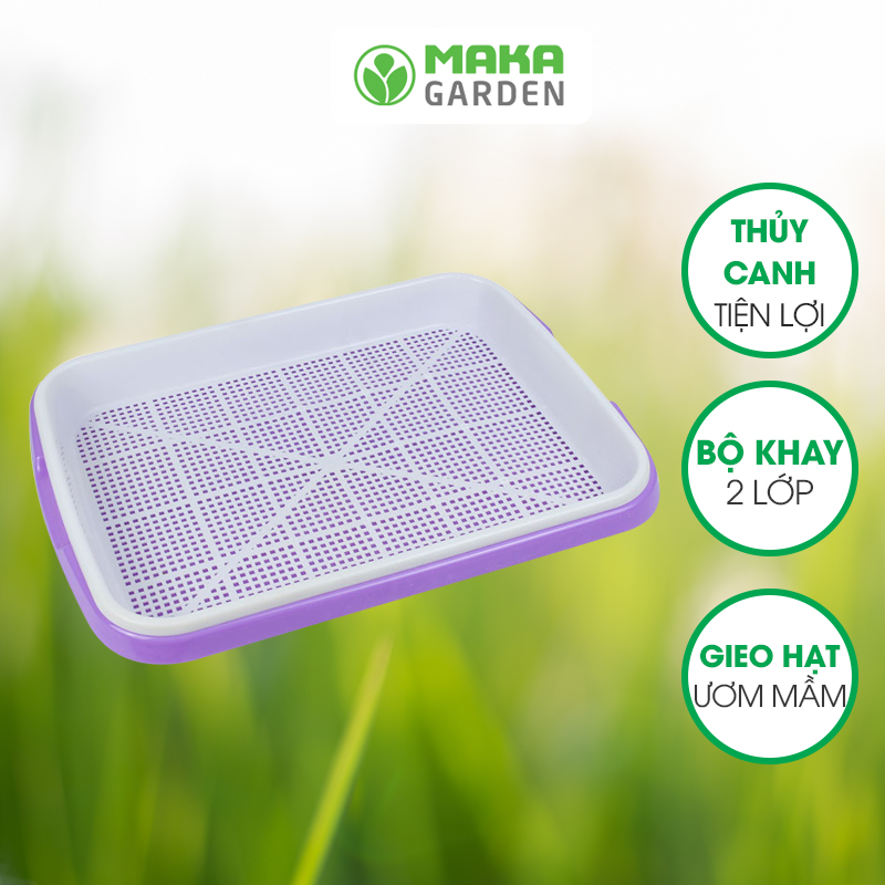 Khay trồng rau mầm thủy canh
