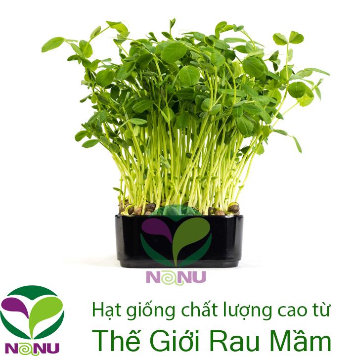 Gói 20g hạt giống rau mầm đậu hà lan_ thế giới rau mầm