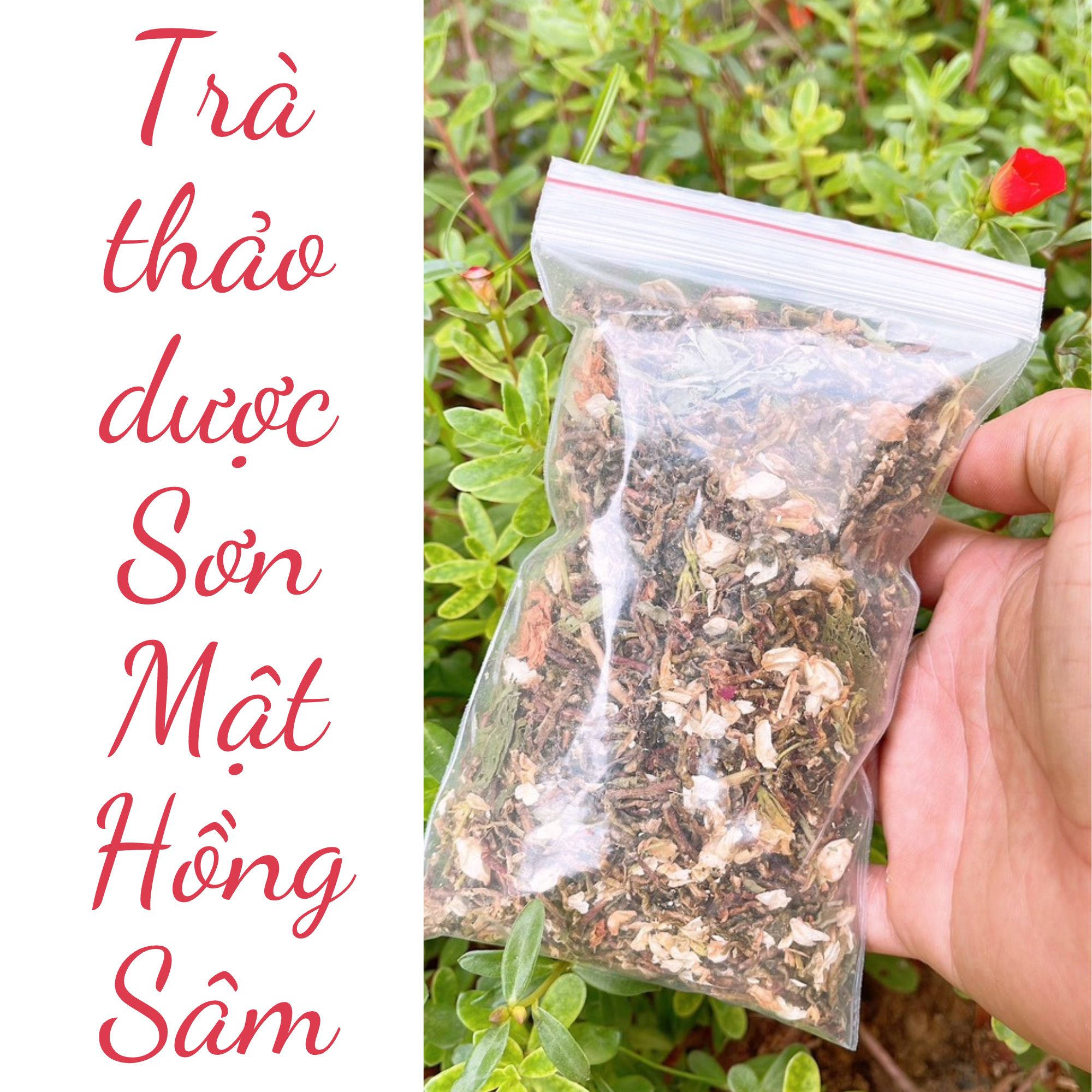 Gói trà Sơn Mật hồng sâm, thảo dược cho sức khoẻ mỗi ngày, hổ trợ ngủ ngon giấc Hỗ trợ cải thiện hệ tim mạch, ổn định đường huyết, huyết áp.