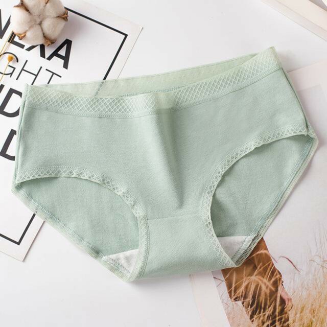 Quần lót nữ cotton viền ren, quần lót kháng khuẩn trơn nhiều màu dễ thương