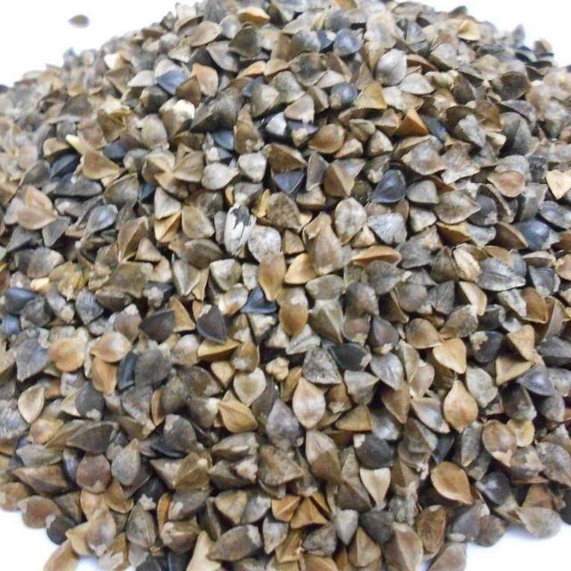 Hạt ba khía cho thú cưng 100g