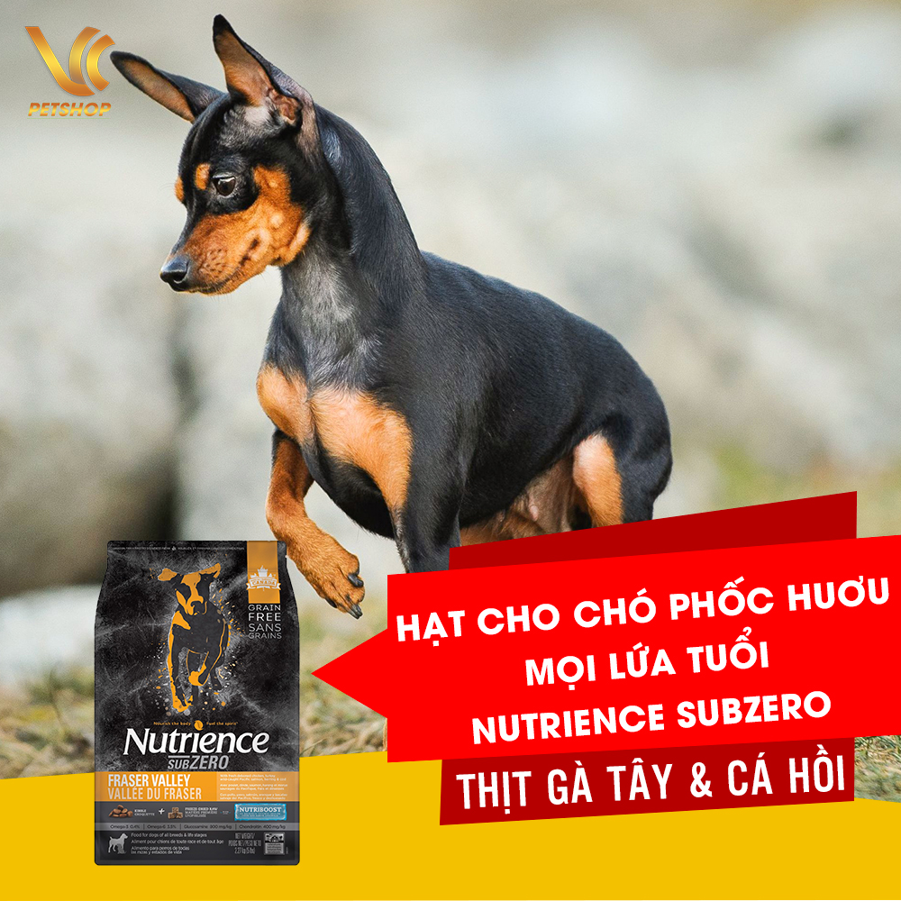 Thức ăn hạt thịt tươi cho chó phốc huơu mọi lứa tuổi | nutrience subzero vị thịt gà tây & cá hồi | vc pet shop