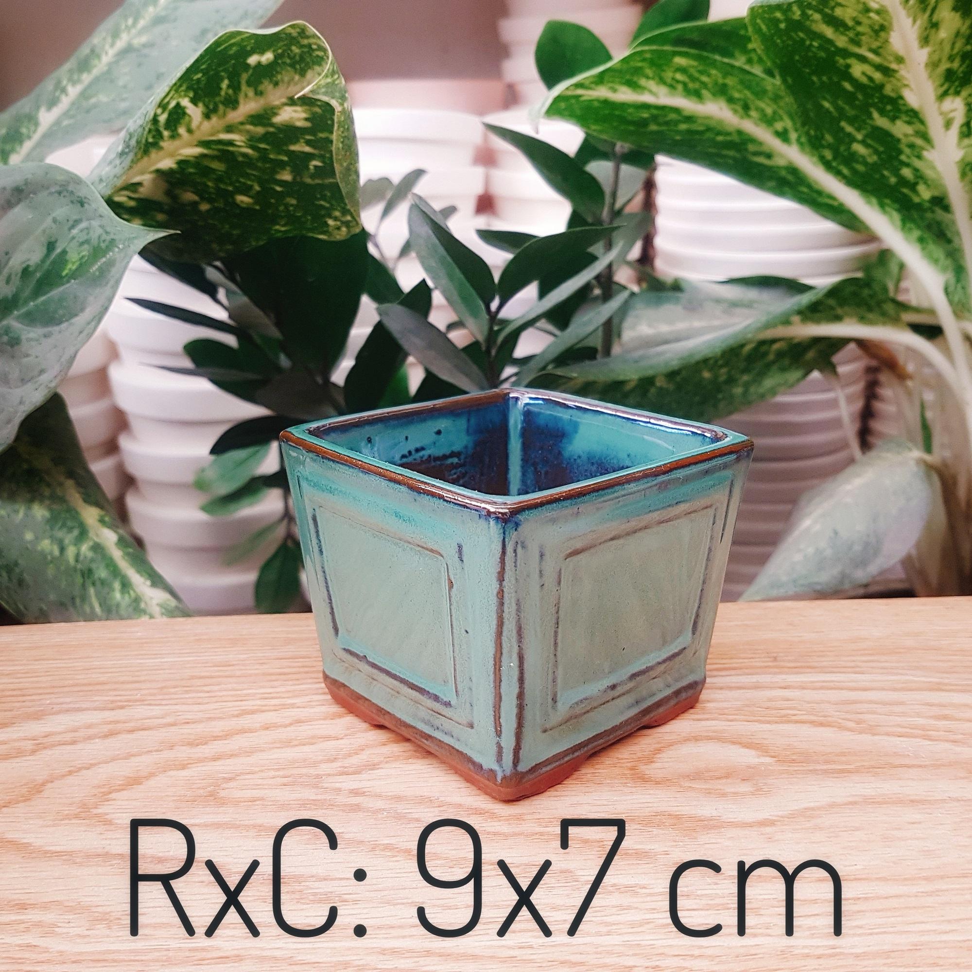 [HCM]Chậu Sứ Trồng Cây Cảnh Để Bàn Sen Đá Xương Rồng Cây Bonsai Hình Vát Vuông Cao