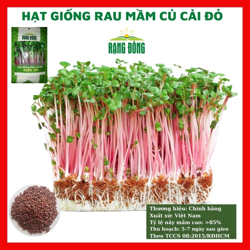 Hạt giống rau mầm củ cải đỏ 30GR ngon giòn ngọt - rau củ quả trồng chậu, sân vườn ban công sân RADO 105
