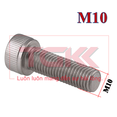 Bulong LGC đầu trụ inox 304 M10
