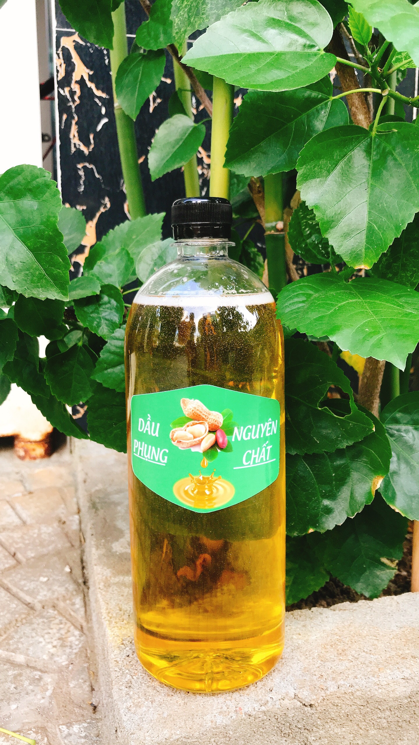 Dầu phụng nguyên chất - chai 1 lít - dầu phộng, dầu lạc nguyên chất - thơm ngon, đảm bảo atvstp - đô 37