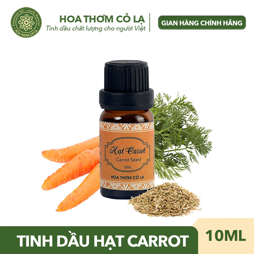 Tinh Dầu Hạt Cà Rốt Nguyên Chất – Fullbox hộp cao cấp và thiệp –  Carrot Seed Essential Oil - Chính hãng Hoa Thơm Cỏ Lạ - Dung tích 10ml - Chứng nhận hữu cơ, COA, MSDS – Kiểm định chất lượng bởi Viện Nghiên cứu Tinh dầu