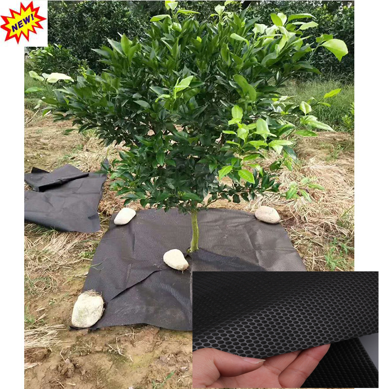 [HCM]Bạt phủ nông nghiệp 5 cái Màng trải diệt cỏ Bạt giữ ẩm cho đất chống cỏ dại Bạt phủ đất chống cỏ thấm nước  Bạt phủ thấm nước chống cỏ - Bạt phủ đất ngăn ngừa cỏ