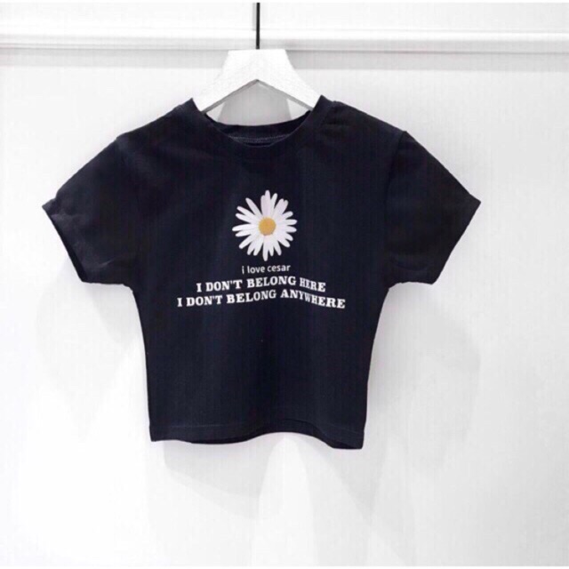 Áo thun croptop thêu hoa cúc chất thun lạnh mềm mịn