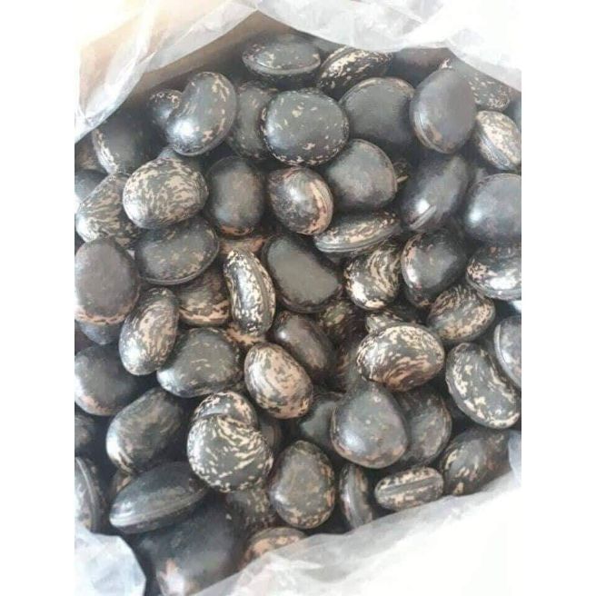 Sỉ toàn quốc 30 hạt đậu lào