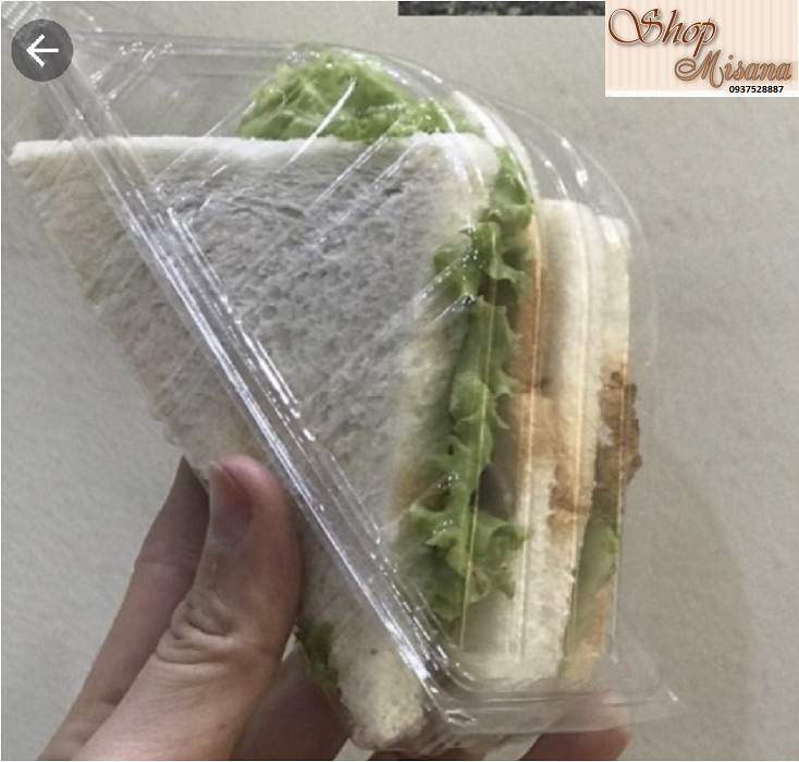 Bộ 100 hộp nhựa tam giác mái nhà 06 đưng bánh mì sanwitch, thực phẩm mang đi