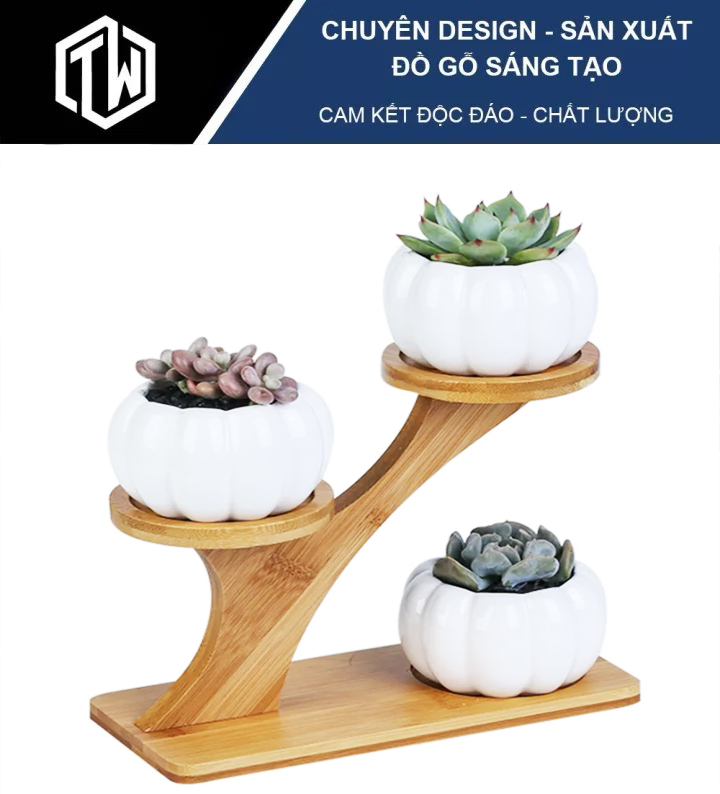 Kệ cây cảnh mini TiTi Wod DT03 bằng gỗ cao cấp, trang trí văn phòng, bàn làm việc