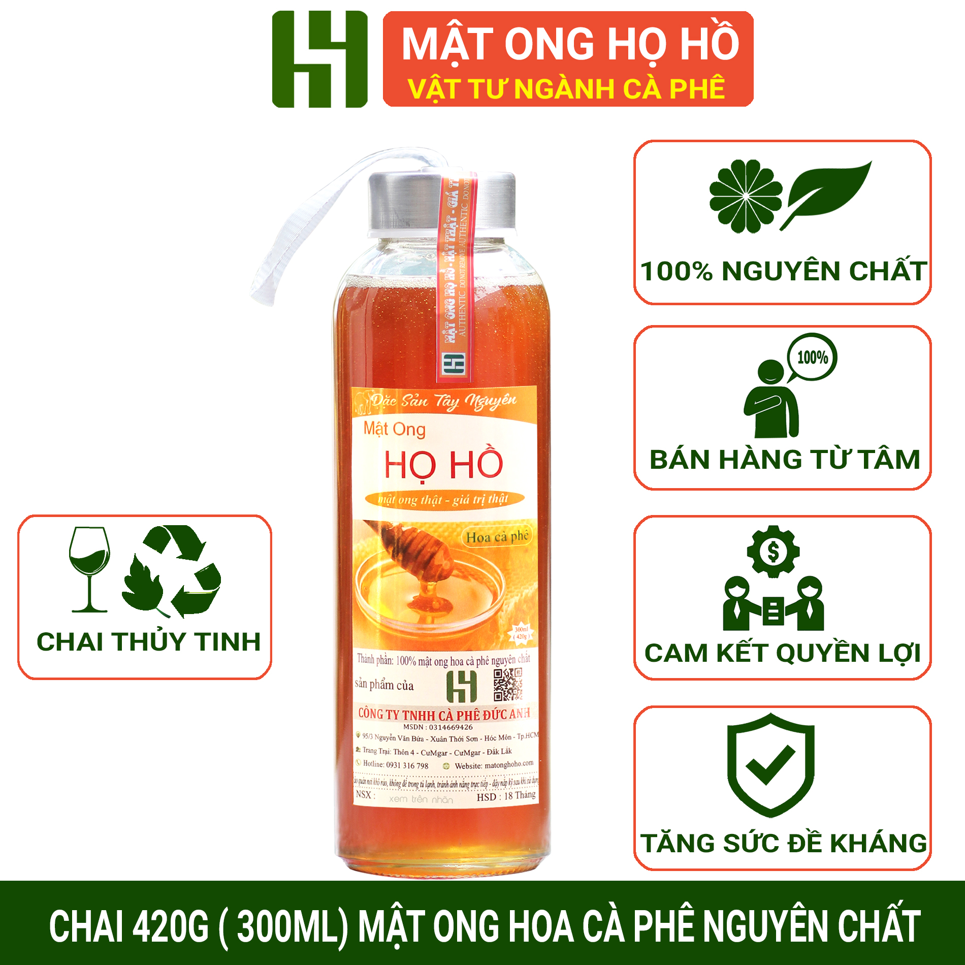Mật ong hoa cà phê nguyên chất - MẬT ONG HỌ HỒ - Chai thủy tinh 420gr (300ml)