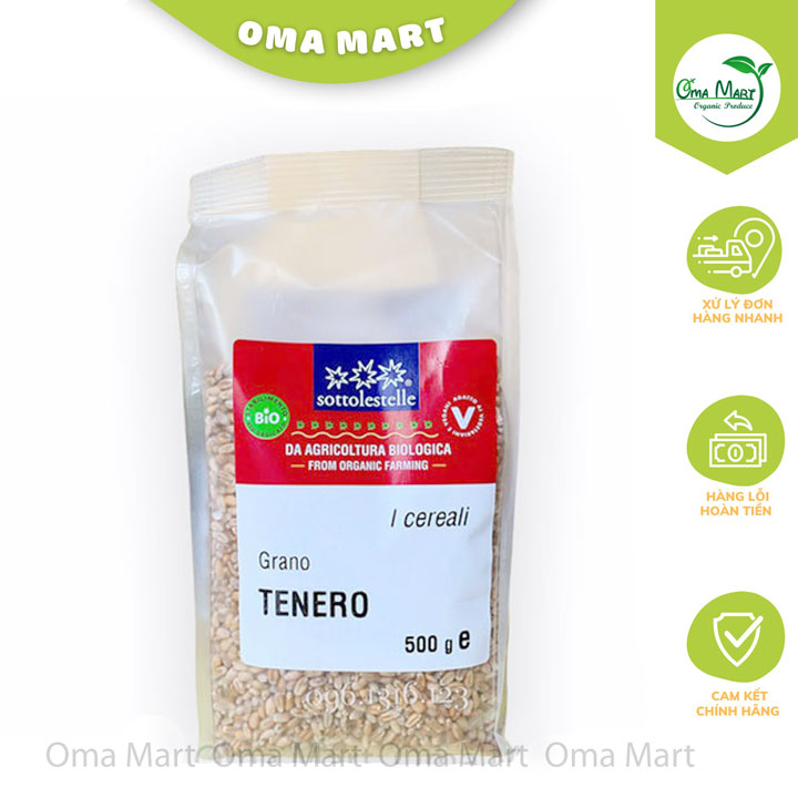 Hạt giống lúa mì hữu cơ Sottolestelle 500g - Ý