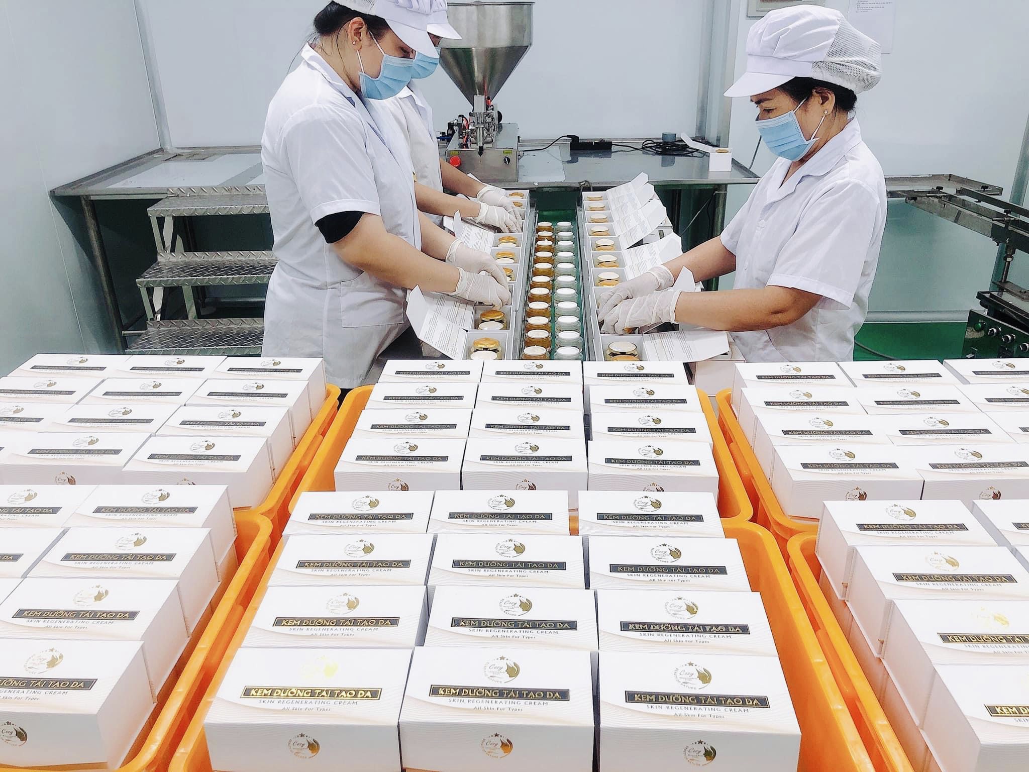 Combo kem face cao cấp tái tạo cho da mặt