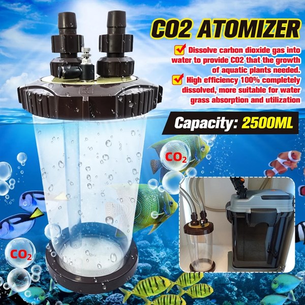 Trộn co2 plant care