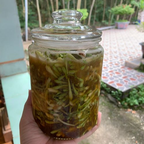 Hoa đu đủ đực ngâm mật ong 500ml