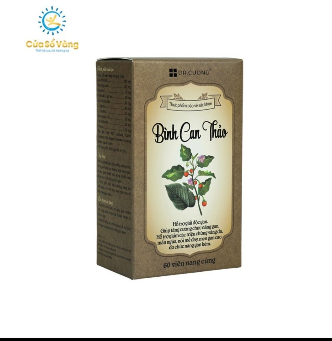 Bình Can Thảo cửa sổ vàng – Hỗ Trợ Giải Độc, Tăng Cường Chức Năng Gan