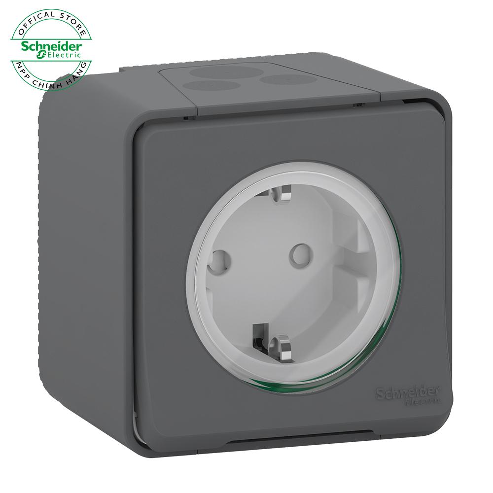 Ổ cắm chống nước đơn 16A 2P+E - Schneider Electric