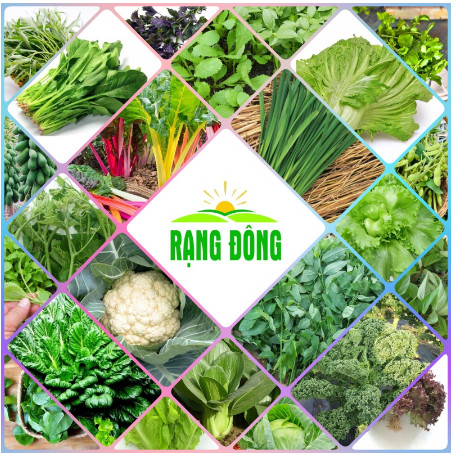 Hạt giống Rạng Đông, Hạt giống trồng rau sạch