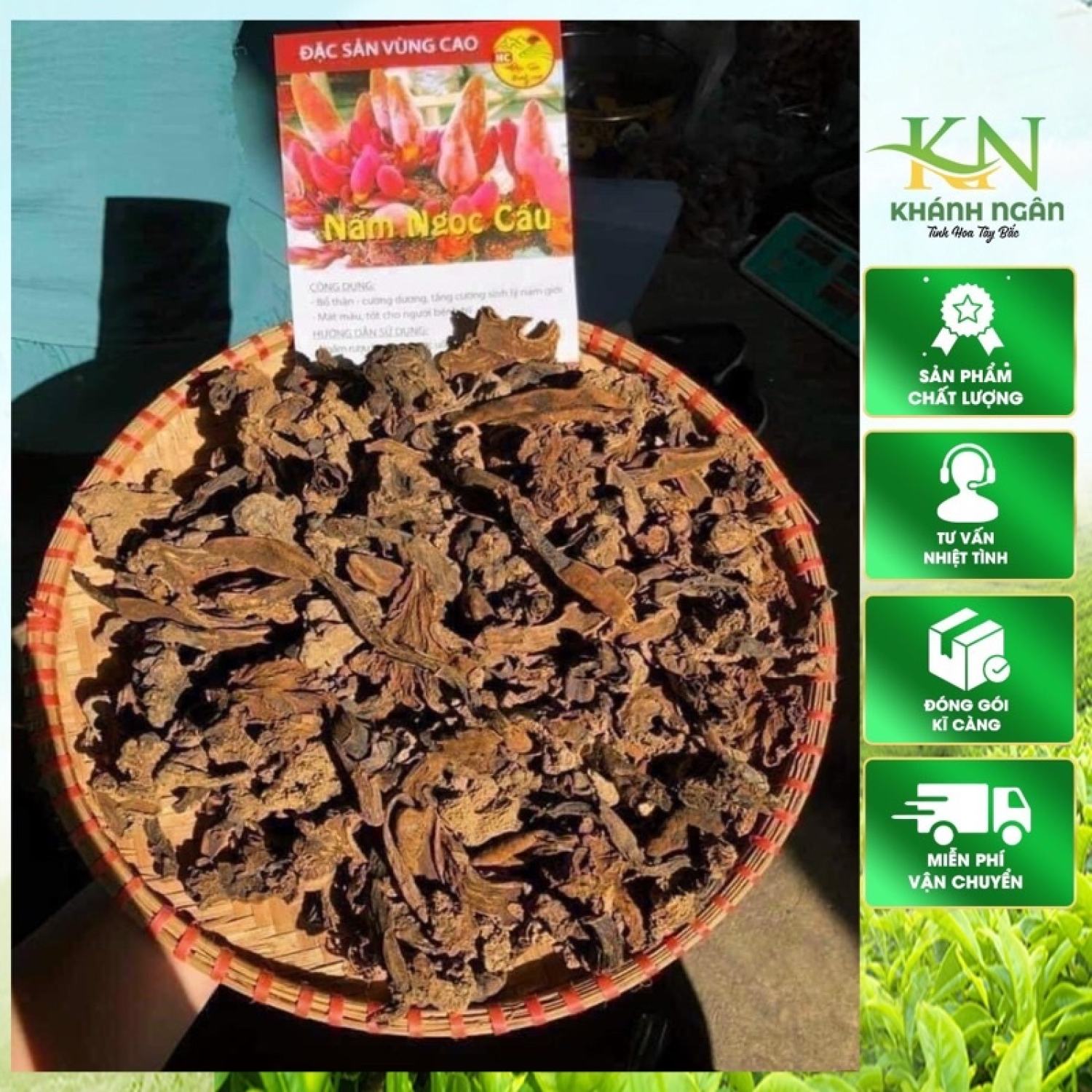 Nấm Ngọc cẩu khô loại 1 . Nấm toả dương, ngọc cẩu tím ngâm rượu, tích dương giúp bổ thận tráng dương