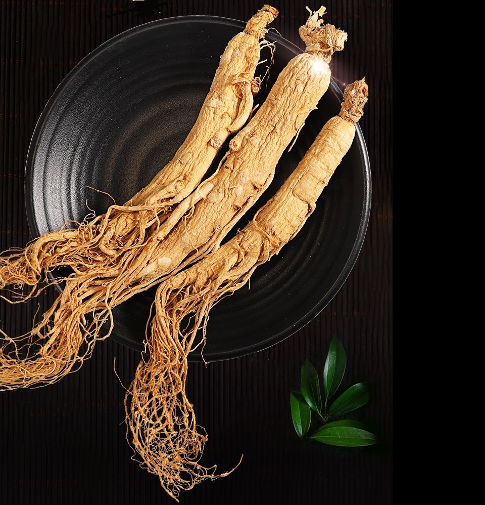 Nhân sâm Trường Bạch Sơn 10 năm tuổi