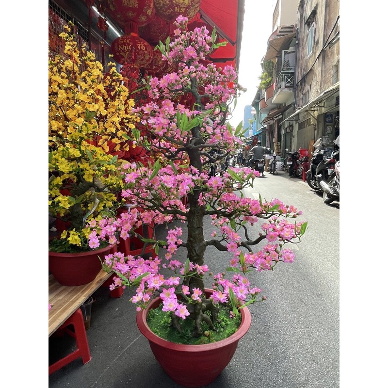 Chậu hoa đào bonsai cao 1m15-cây hoa đào giả trang trí tết