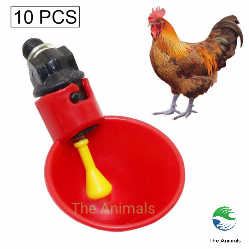 Cốc uống nước tự động gắn xô sơn cho gà nuôi , vịt nuôi thả vườn