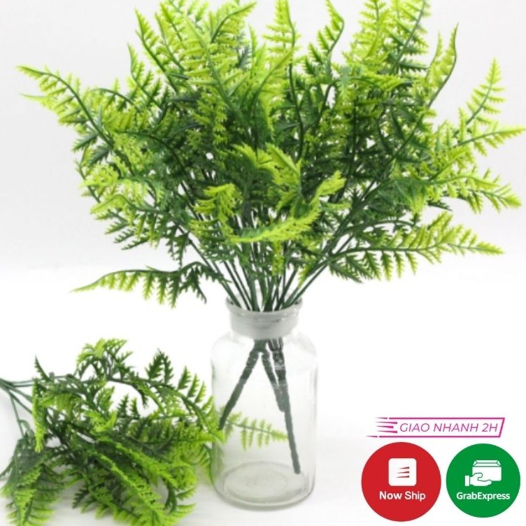 CÂY DƯƠNG XỈ CÂY GIẢ LÁ CỠ NHỎ LIZ15