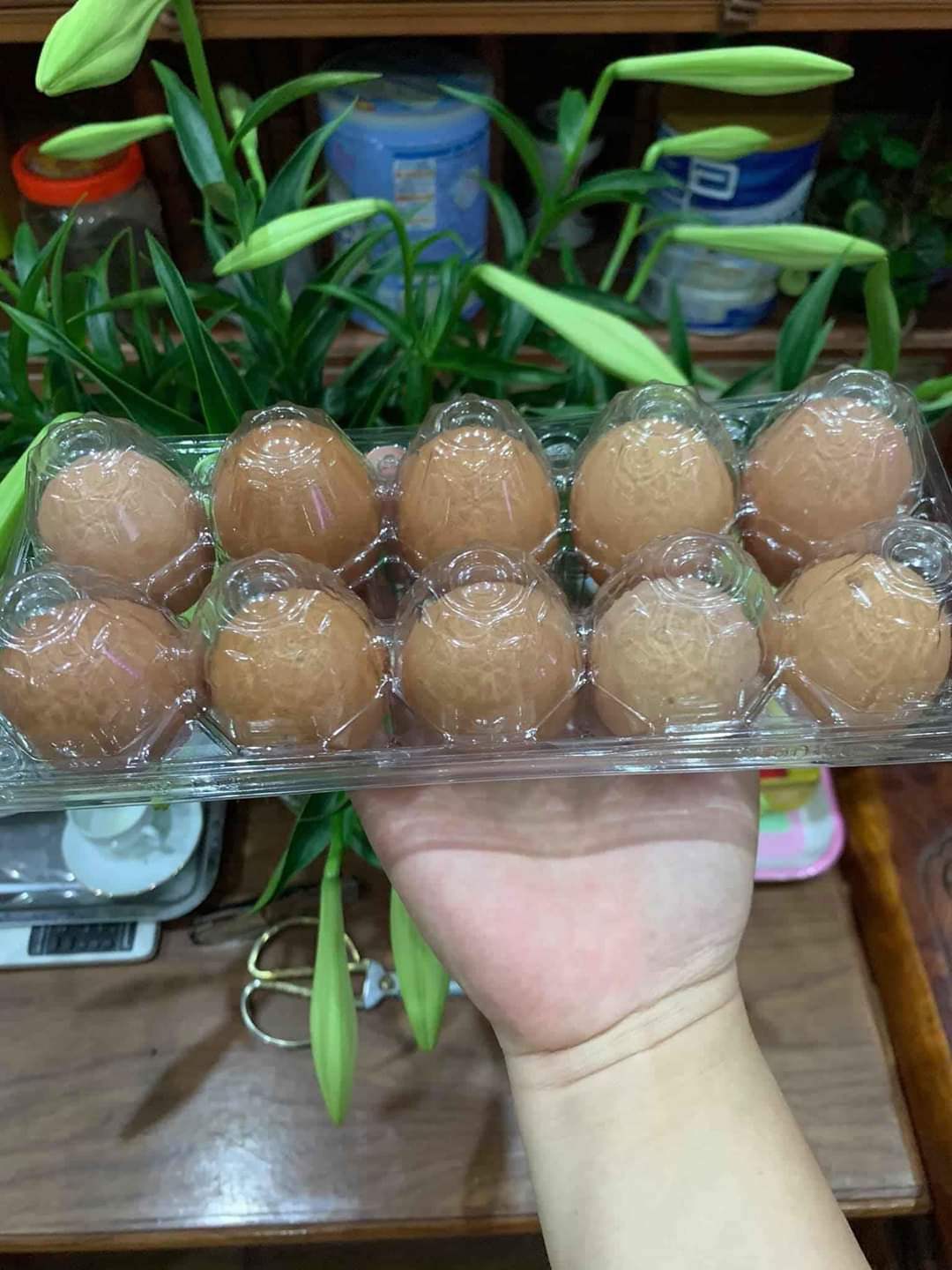 Khay vỉ đựng trứng 10 quả nhựa trong