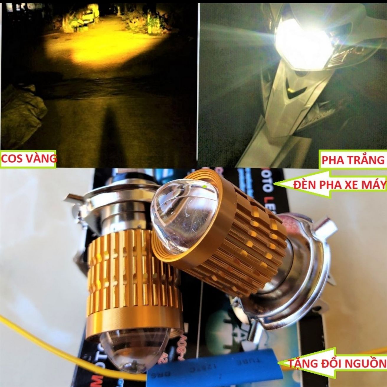 1 BÓNG ĐÈN PHA VÀNG CỐT TRẮNG XE MÁY ÔTÔ SIÊU SÁNG MẪU MỚI