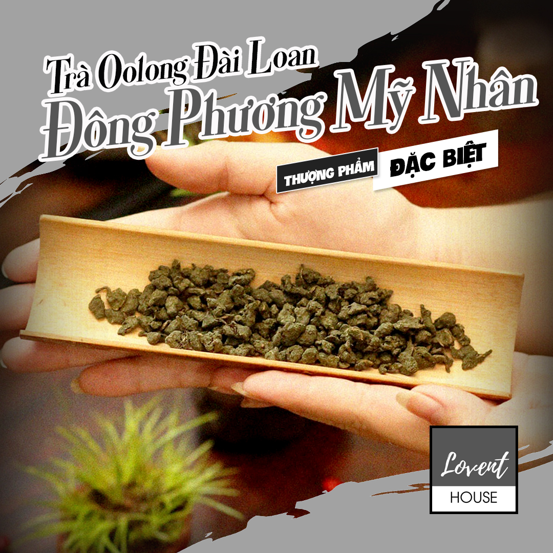 Trà Oolong nhân sâm Đông Phương Mỹ Nhân - 100g Hương Lan nồng hậu, ngọt mùi trái chín