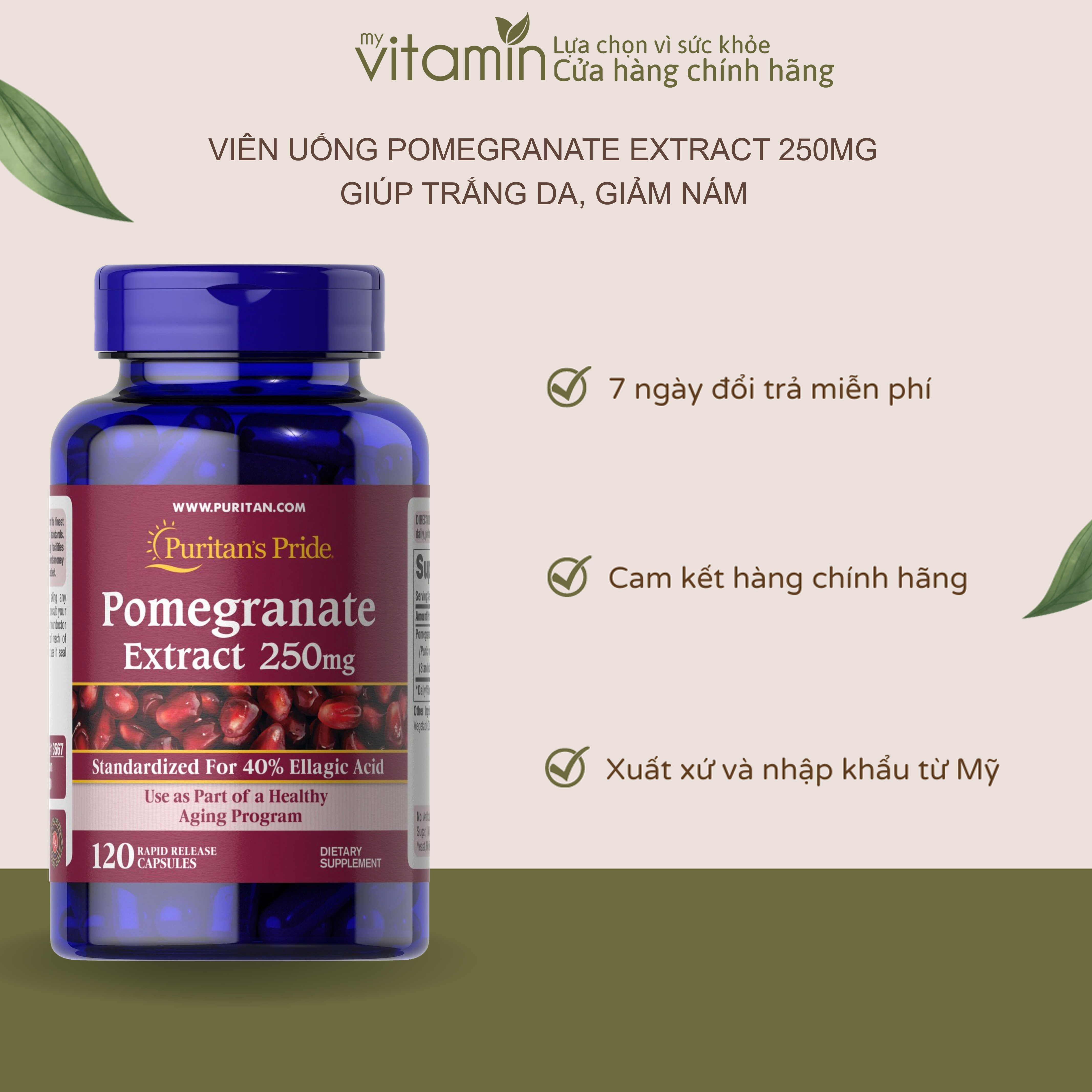 Viên Uống Pomegranate Extract 250mg Giúp Trắng Da Tăng Hệ Miễn Dịch Giảm Lão Hóa Da