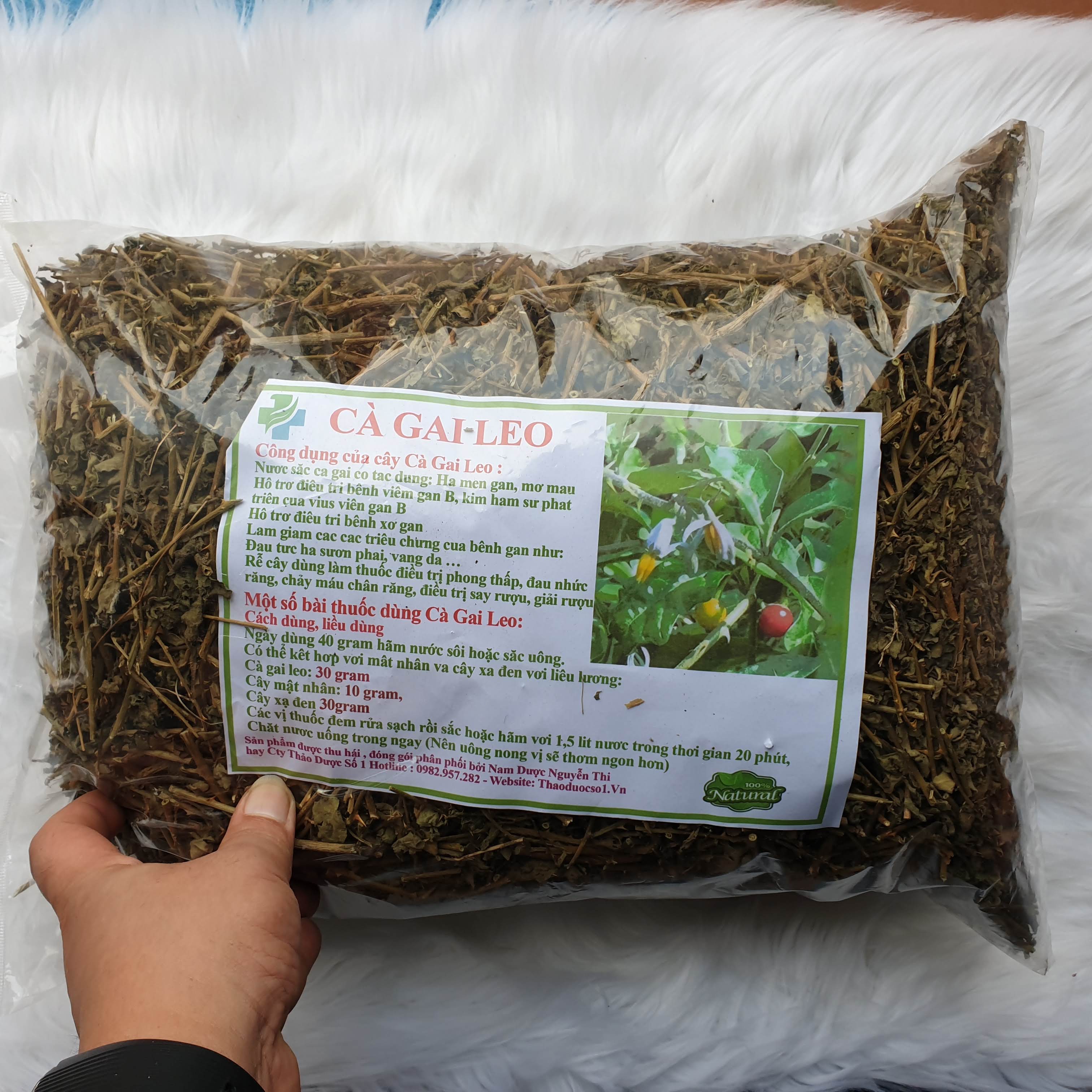 Cà Gai Leo Hỗ Trợ Điều Trị Gan Hiệu Qủa -1kg TDSO1